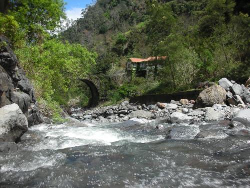 Imagen 4 de 24