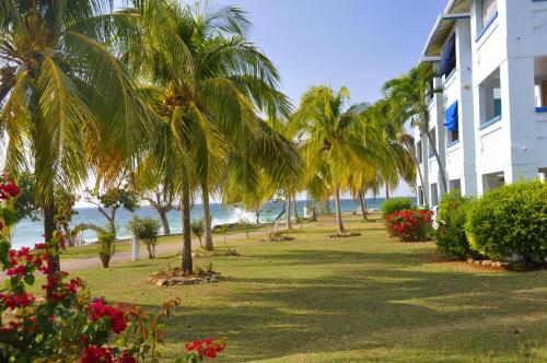 Imagen 4 de 8