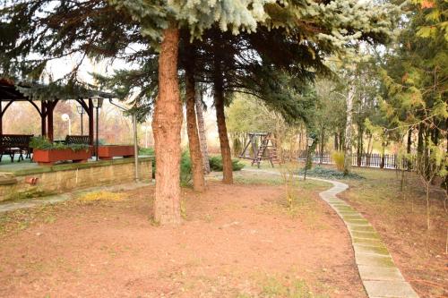 Imagen 4 de 30