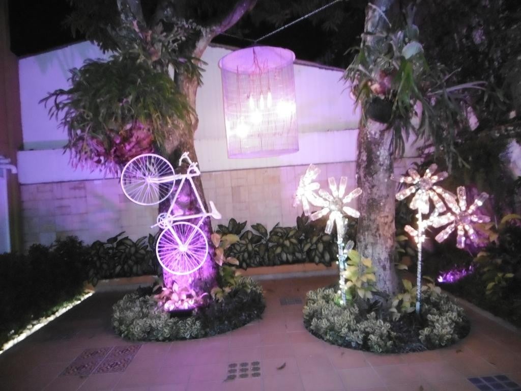 Imagen 4 de 20