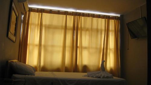 Imagen 4 de 8