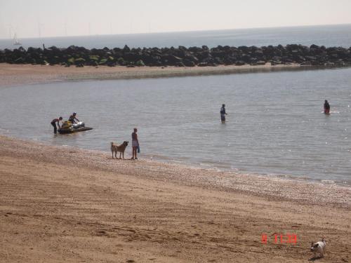 Imagen 3 de 14