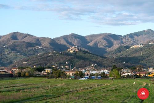Imagen 5 de 69