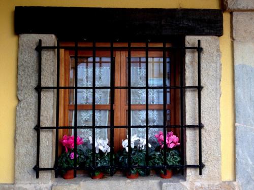Imagen 1 de 99
