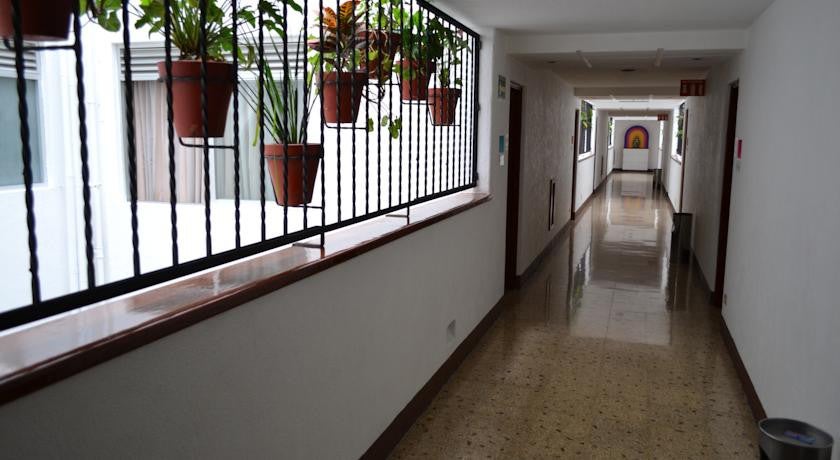 Imagen 3 de 19