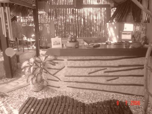 Imagen 3 de 39