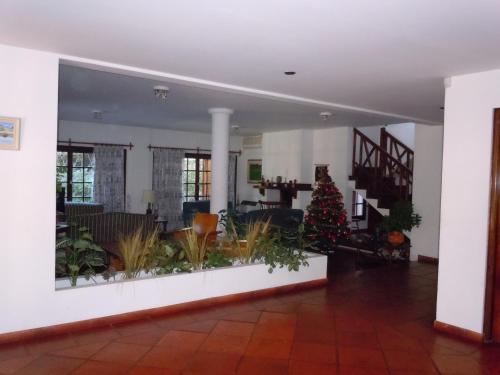Imagen 5 de 30
