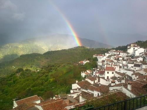 Imagen 1 de 16