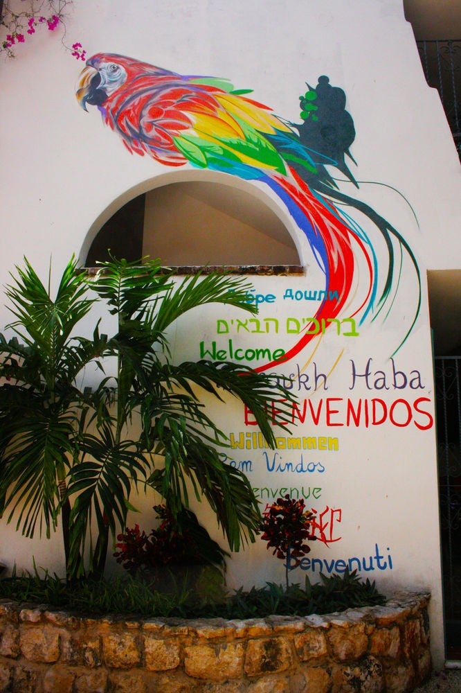 Imagen 5 de 32