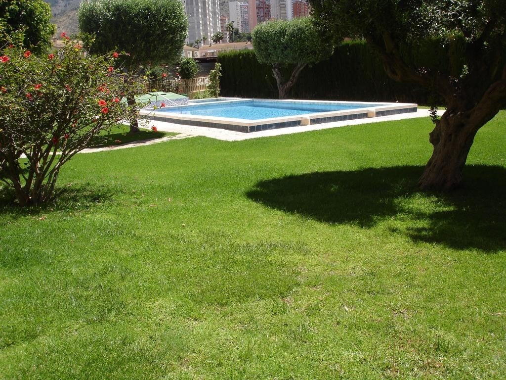 Imagen 3 de 15