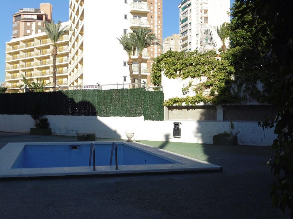 Imagen 5 de 15