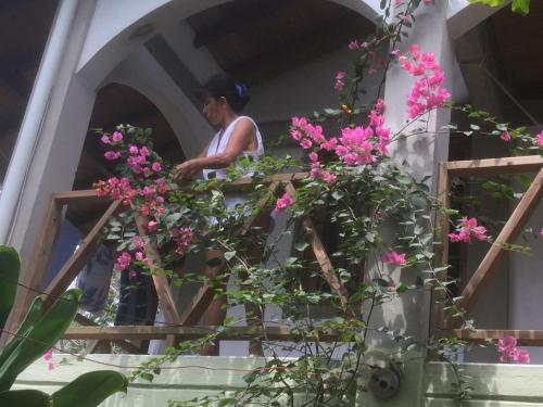 Imagen 2 de 3