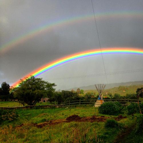 Imagen 3 de 44