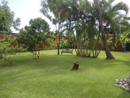 Imagen 2 de 44