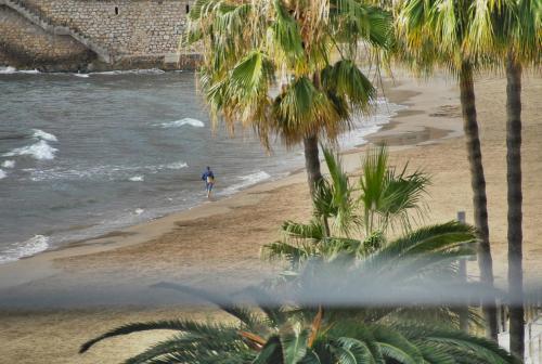 Imagen 3 de 29