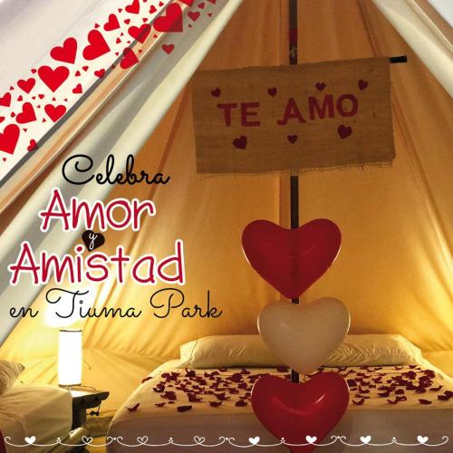 Imagen 1 de 37