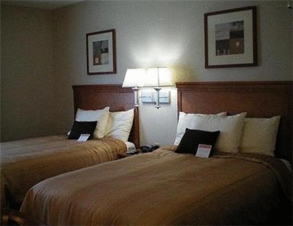 Imagen 2 de 3