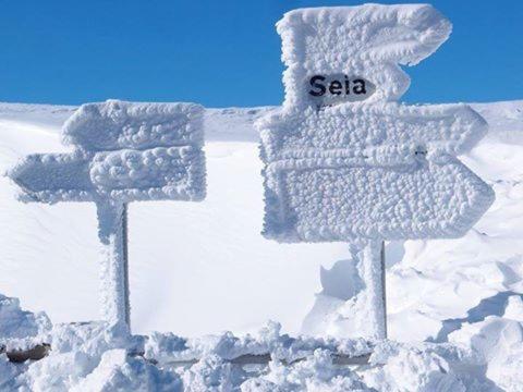 Imagen 1 de 50
