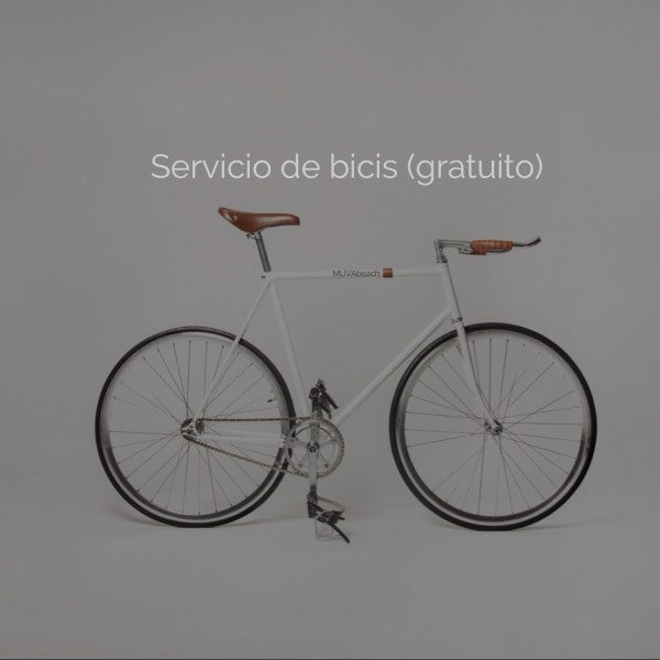 Imagen 4 de 13