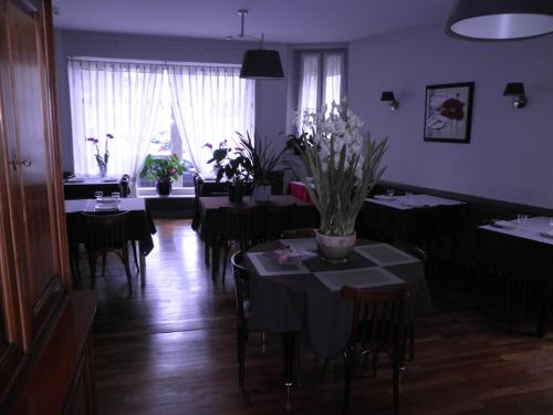 Imagen 4 de 18