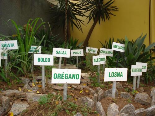 Imagen 1 de 5