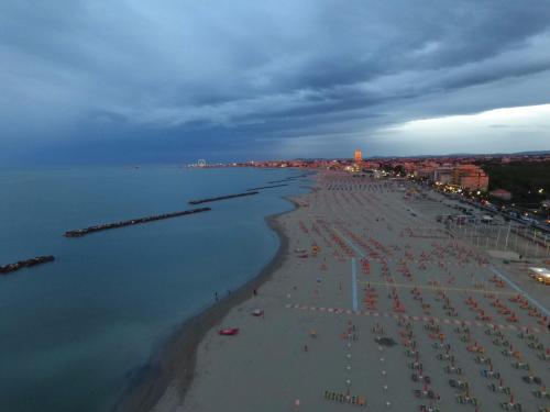 Imagen 2 de 78