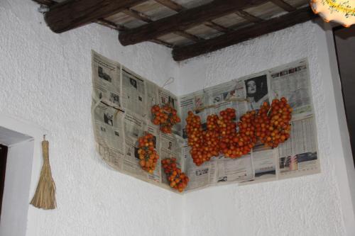 Imagen 3 de 33