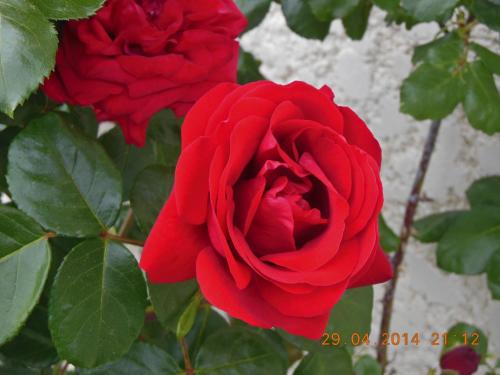 Imagen 1 de 29
