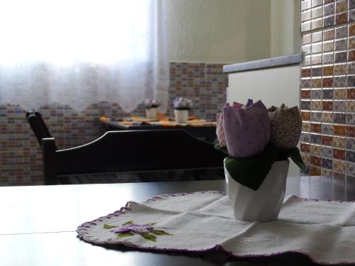 Imagen 4 de 24