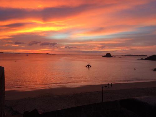 Imagen 3 de 24