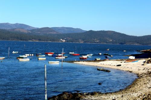 Imagen 3 de 9