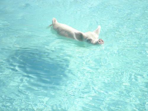 Imagen 3 de 16