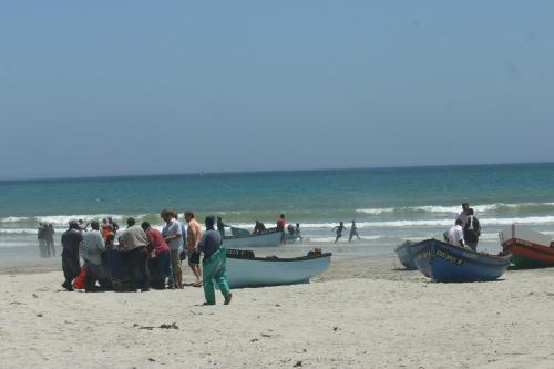 Imagen 4 de 8