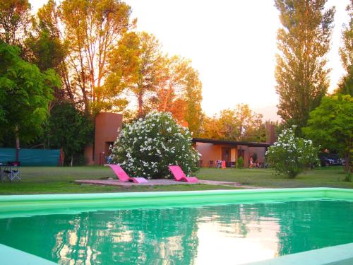 Imagen 2 de 31