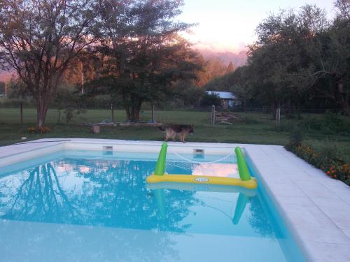 Imagen 4 de 31
