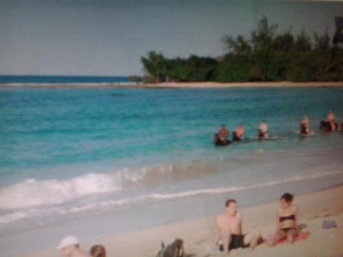 Imagen 4 de 36