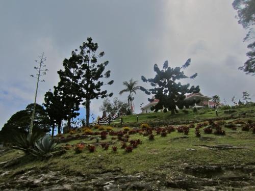 Imagen 2 de 48