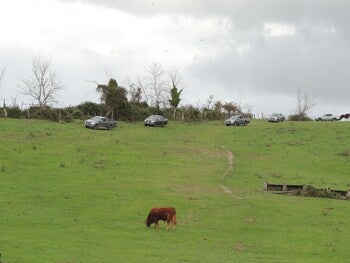 Imagen 4 de 9