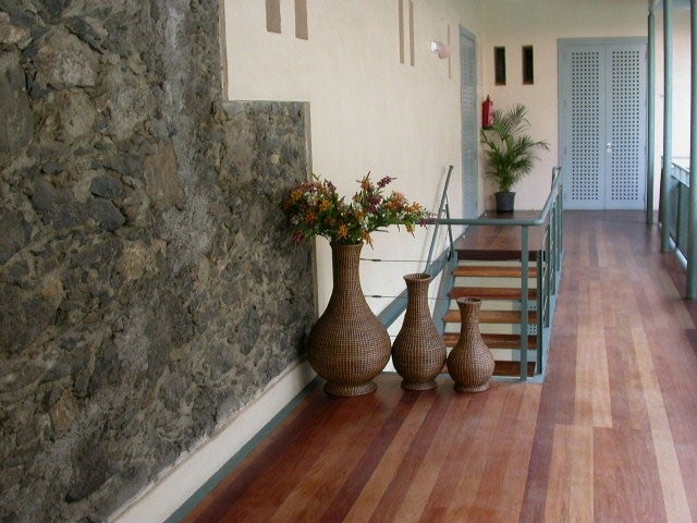 Imagen 4 de 8