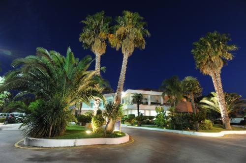 Imagen 4 de 19