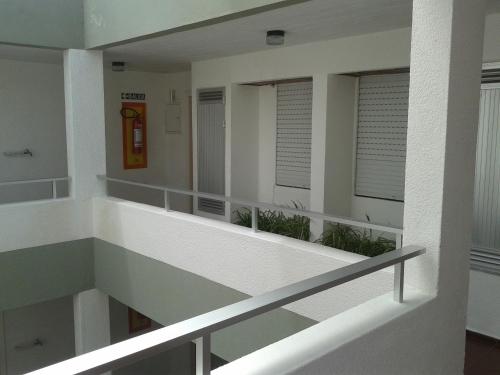 Imagen 3 de 17