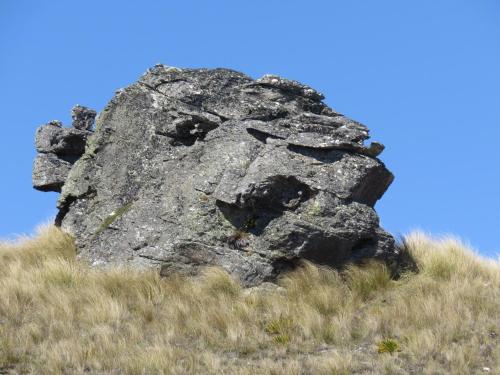 Imagen 4 de 76