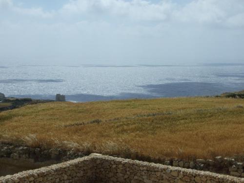 Imagen 3 de 9