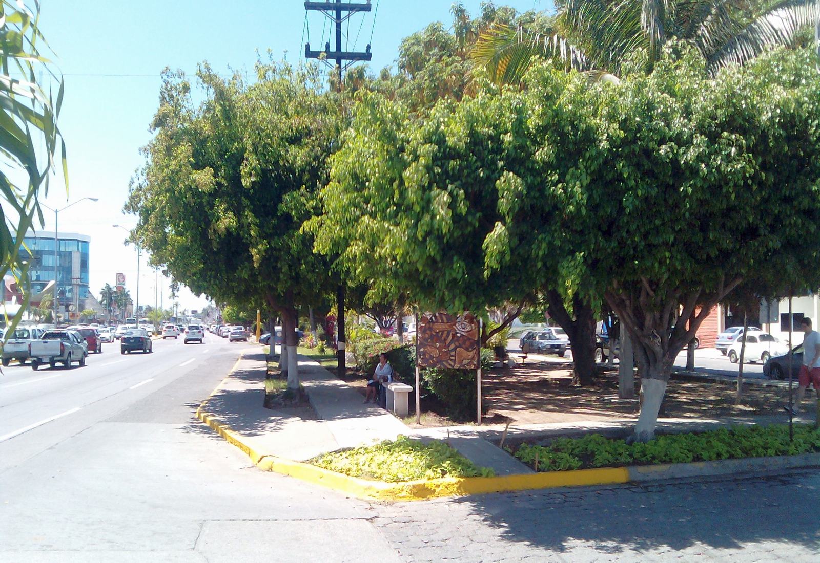 Imagen 4 de 80