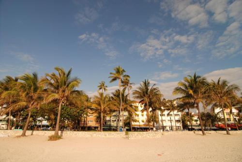 Imagen 4 de 52