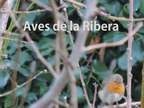 Imagen 3 de 39