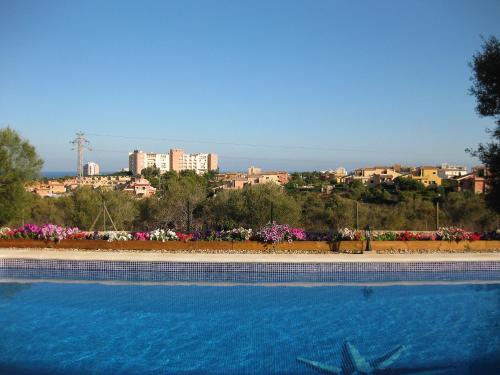 Imagen 2 de 16