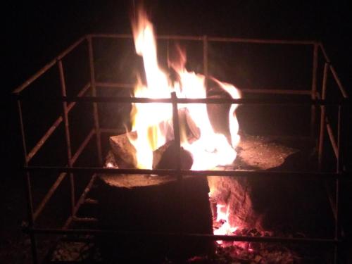 Imagen 3 de 18