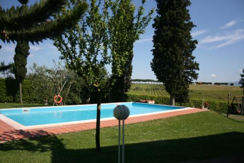 Imagen 3 de 26