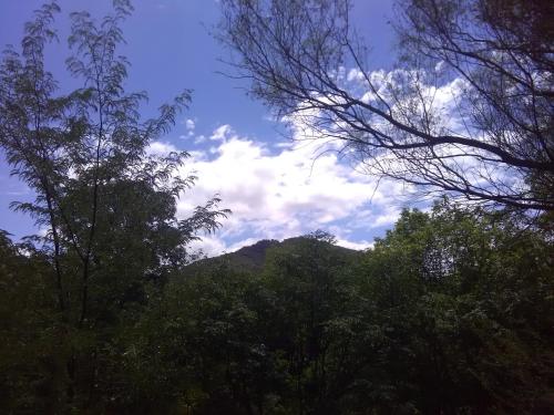 Imagen 5 de 17